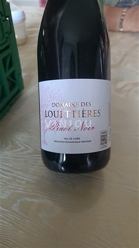 Loirevallei Domaine Des Louettières Pinot Noir 2024