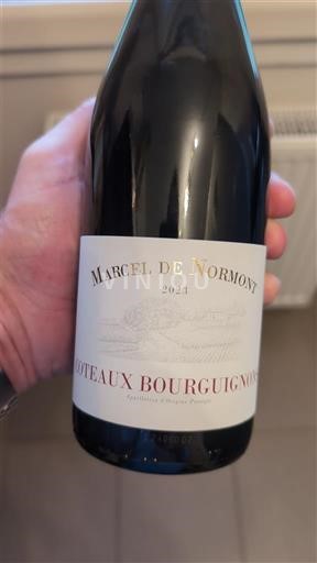 Bourgogne Bourgogne skråninger Marcel de Normont 2023