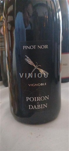 Thung lũng sông Loire Thung lũng Loire Poiron Dabin Pinot Noir 2022