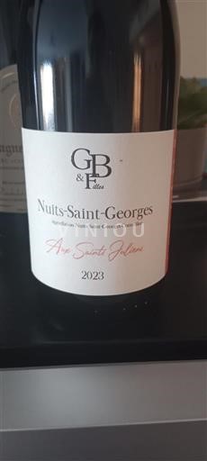 Burgundija Nuits-Saint-Georges GB & Filles Aux Saints Julien 2023