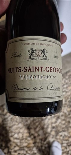 Bourgogne Nuits-Saint-Georges Domaine La Choupette Les Fourchots 2019