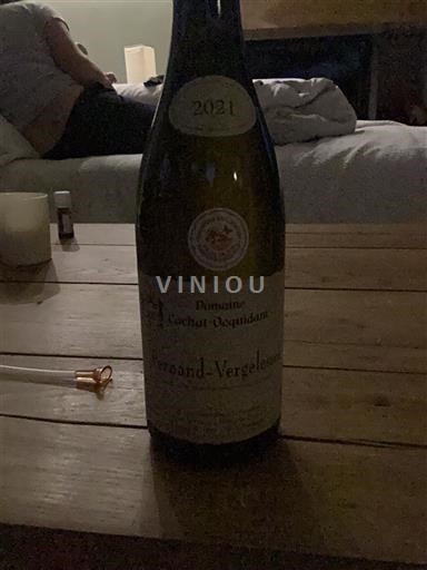 Burgundsko Pernand-Vergelesses Domaine Cachat Ocquidant 2021