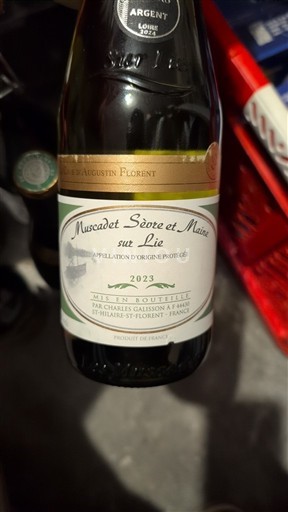 Valle della Loira Muscadet Sèvre et Maine Charles Galisson 2023