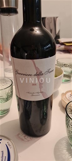 Marche Guerriero della Terra 2020