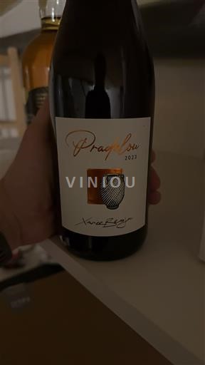 Linguadoca Non specificato Xavier Berger Praeflou 2023