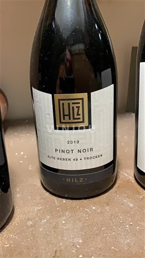 Pfalz Không được chỉ định Hilz Alte Reben 49 - Trocken 2019