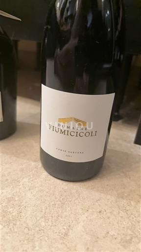 Corsica Nespecificat Domaine Fiumicicoli 2019