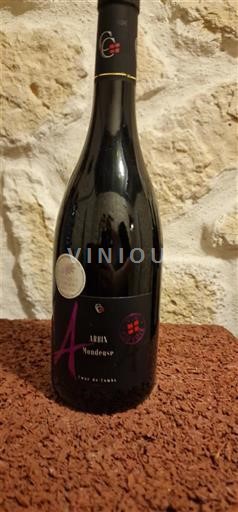 Jura Arbois Arbin Mondeuse 2023