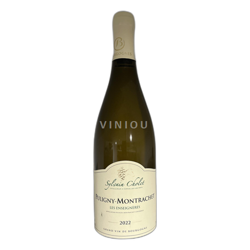 Bourgogne Puligny-Montrachet Sylvain Cholet Les Enseignères 2022