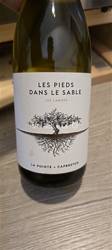 Aquitaine và Charentes Landes La Pointe Capbreton Les Pieds dans le Sable 2023