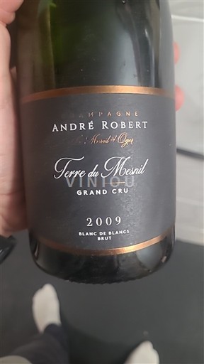 Champaña Champán Grand Cru André Robert Terre du Mesnil 2009