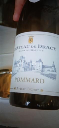 Burgundija Pommard Château Dracy Neleten.
