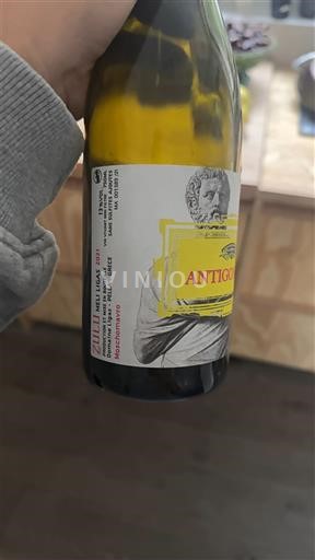 Makedonien Ospecificerad ZILLIS Antigone 2021