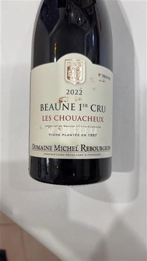 Bourgogne Premier Cru Domaine Michel Rebourgeon Les Chouacheux 2022