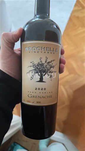 Vùng trồng nho được cấp phép California Paso Robles Brochelle Vineyards 2020