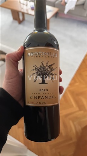 Vùng trồng nho được cấp phép California Paso Robles Brochelle Vineyards Zinfandel 2023