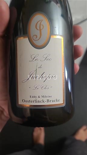 Valle del Loira Anjou Juchepie Le Sec Le Clos 2013