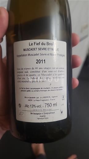 Loiren laakso Muscadet-sèvre-et-maine Jo landron Fief du breil 2011