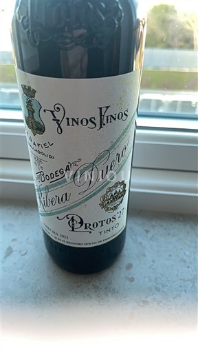 Castille et León Ribera del Duero Protos Protos'27 2021