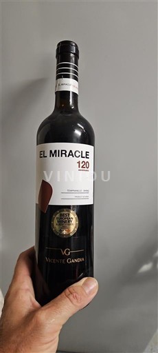 Valencia-regionen Valencia Vicente Gandía El Miracle 120 2021