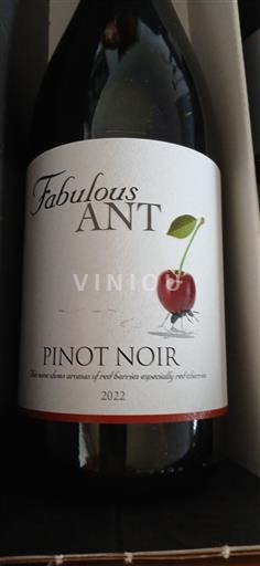 Burgund Fabulous Ant 2022