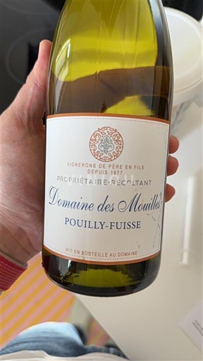 Bourgogne Pouilly-fuissé Domaine Des Mouilles 2024