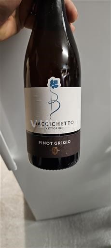 Veneto Määrittelemätön Baccichetto Pinot Grigio 2024