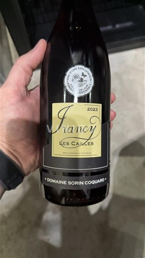 Borgoña Irancy Domaine Sorin Coquard Les Cailles 2023