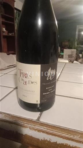 Valle della Loira Saumur-Champigny Domaine Des Roches Neuves Terres Chaudes 2022