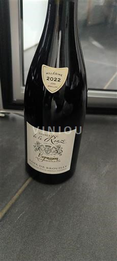 Beaujolais Côte-de-brouilly Domaine La Ronze Les Jumeaux 2022