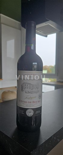 Bordeaux Côtes-de-bourg Château Les Trois Moulin Tradition 2019