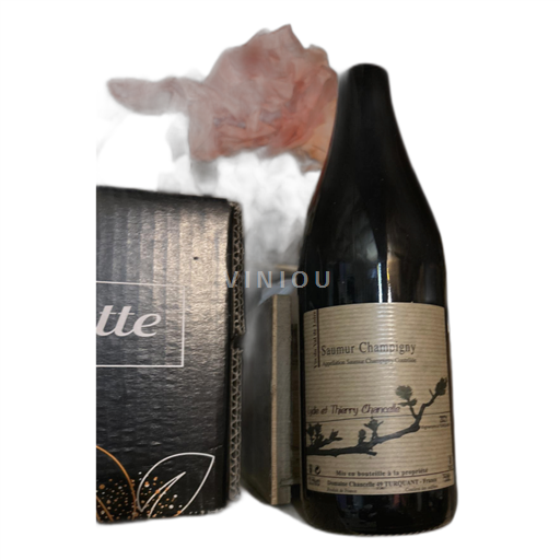 Loiredalen Saumur-champigny Domaine Chancelle Lydie et Thierry Chancelle 2021