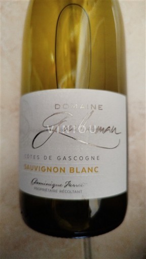 Jihozápad Côtes de Gascogne Domaine Guillaman Sauvignon Blanc 2024