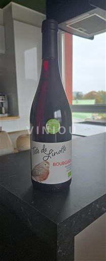 Údolí Loiry Bourgueil Tête de Linotte 2023
