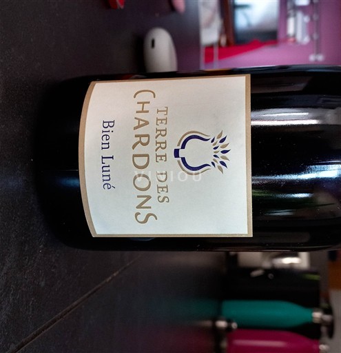 Vale do Ródano Costières de Nîmes EARL Terre des Chardons Bien luné 2023