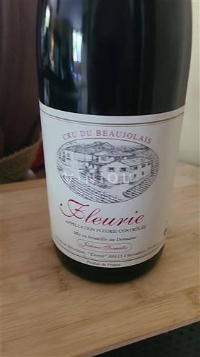 Beaujolais Fleurie Domaine Damany 2022