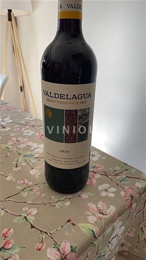 Vin Rouge sec Valdelagua 2023 Španelsko Kastilie a León Nespecifikováno DO