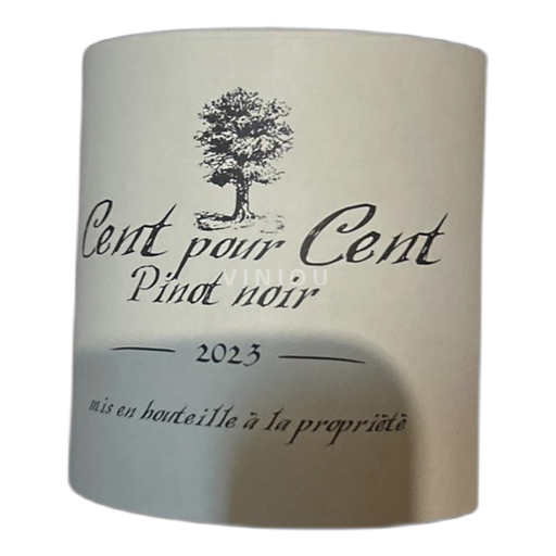 Bourgogne Domaine Cent Pour Cent Pinot Noir 2023