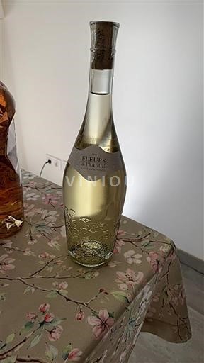 Provenza Côtes-de-Provence Fleurs de Prairie 2022 Senza annata