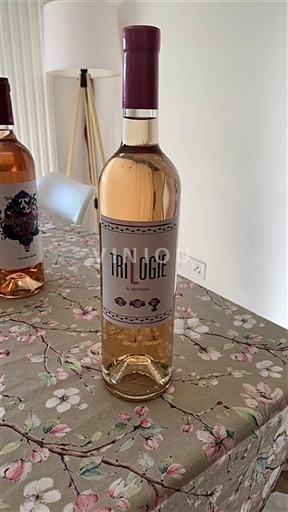 Bordéus Bordéus rosé Trilogie Não Sazonado