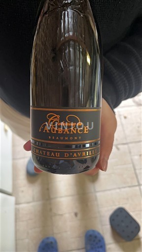 Thung lũng sông Loire Coteaux-de-l'aubance Château Avrillé Coteaux de l'Aubance Beaumont Không niên vụ