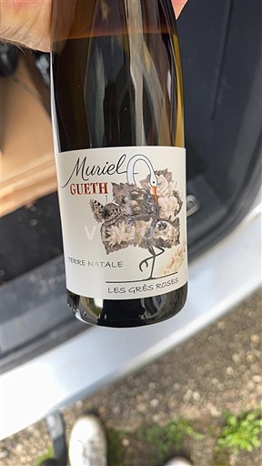Alsace Muriel Gueth Terre Natale Les Grès Roses 2020