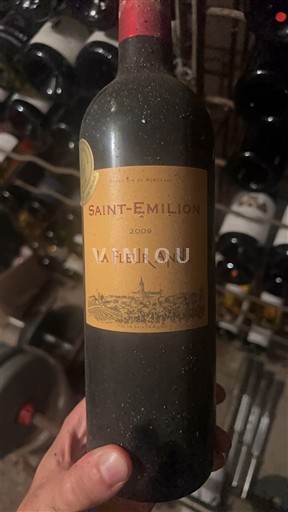 Bordéus Saint-Émilion La Fleur Anne 2009