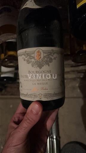 Bourgogne Ikke specificeret Domaine Patrick Robin La Meille 2010