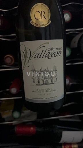 Dolina Loare Touraine Château Vallagon Neleten.