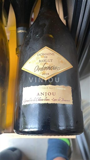 Loiretal Anjou Domaine Bablut Ordovicien 2018