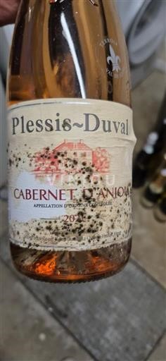 Loirevallei Cabernet d'Anjou Plessis-Duval 2021