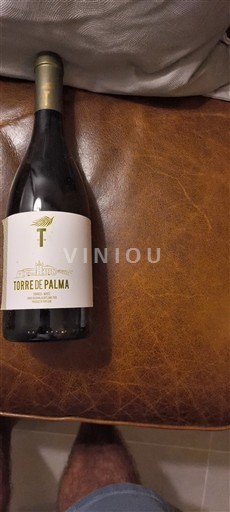 Alentejo NOT_FOUND 2019