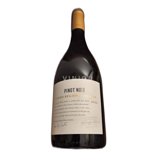 Lissabon Pingo Doce 2022 2022