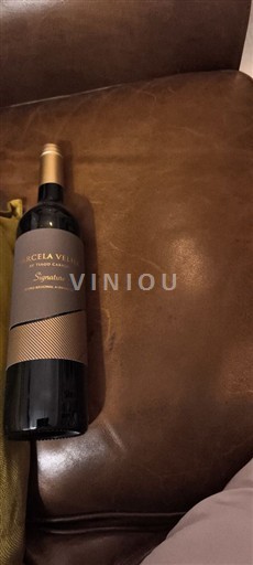 Alentejo Tiago Cabaco 2022